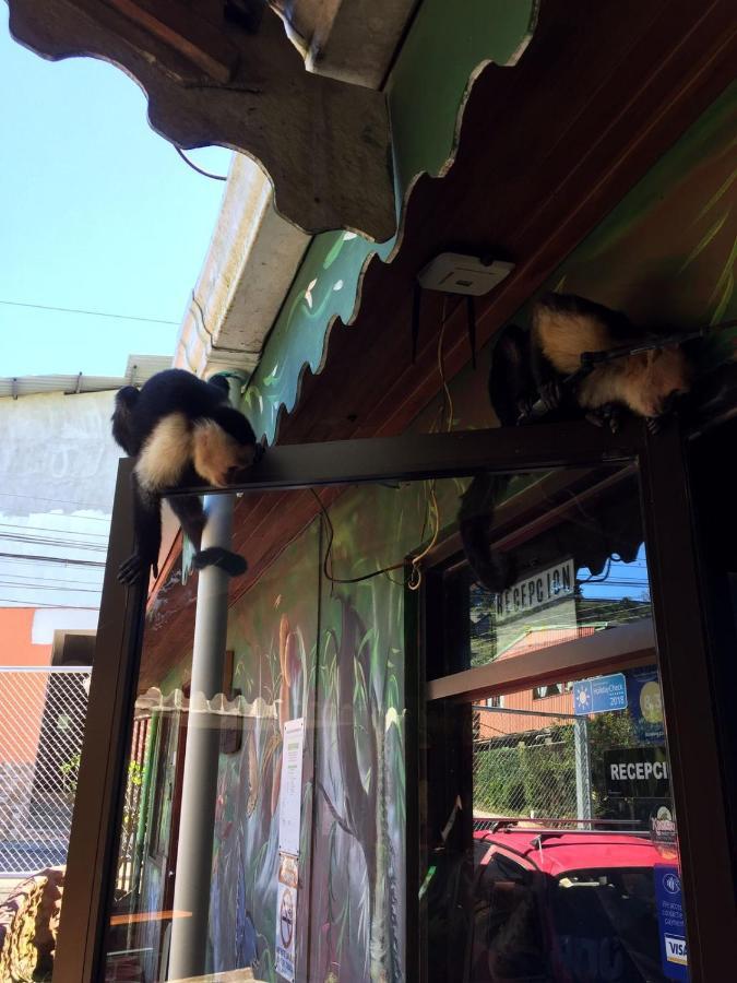 Manakin Lodge, Monteverde Cr Kültér fotó